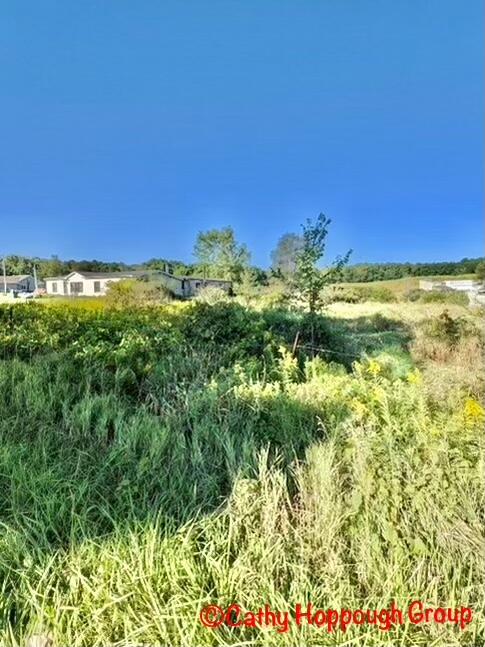 11602 Castle Road Fenwick, MI 48834 - Photo 2 of 3 88ABECDD-A066-40DC-A899-4B723ECC318D