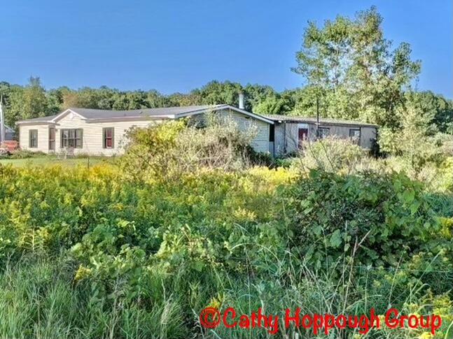 11602 Castle Road Fenwick, MI 48834 - Photo 3 of 3 3960781F-289B-49E6-A4D0-1E5BBACB97D3