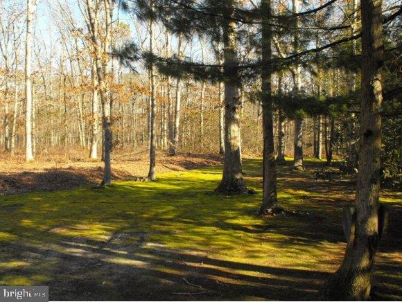 10 Country Road Manahawkin, NJ 08050 - Photo 21 of 24 Gallery Image 21