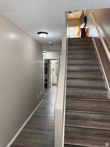 14797 South Chandlerpoint Way Draper, UT 84020 - Photo 2 of 33 Staircase featuring wood-finish treads and risers, complemented by an adjacent hallway with wood-finish flooring