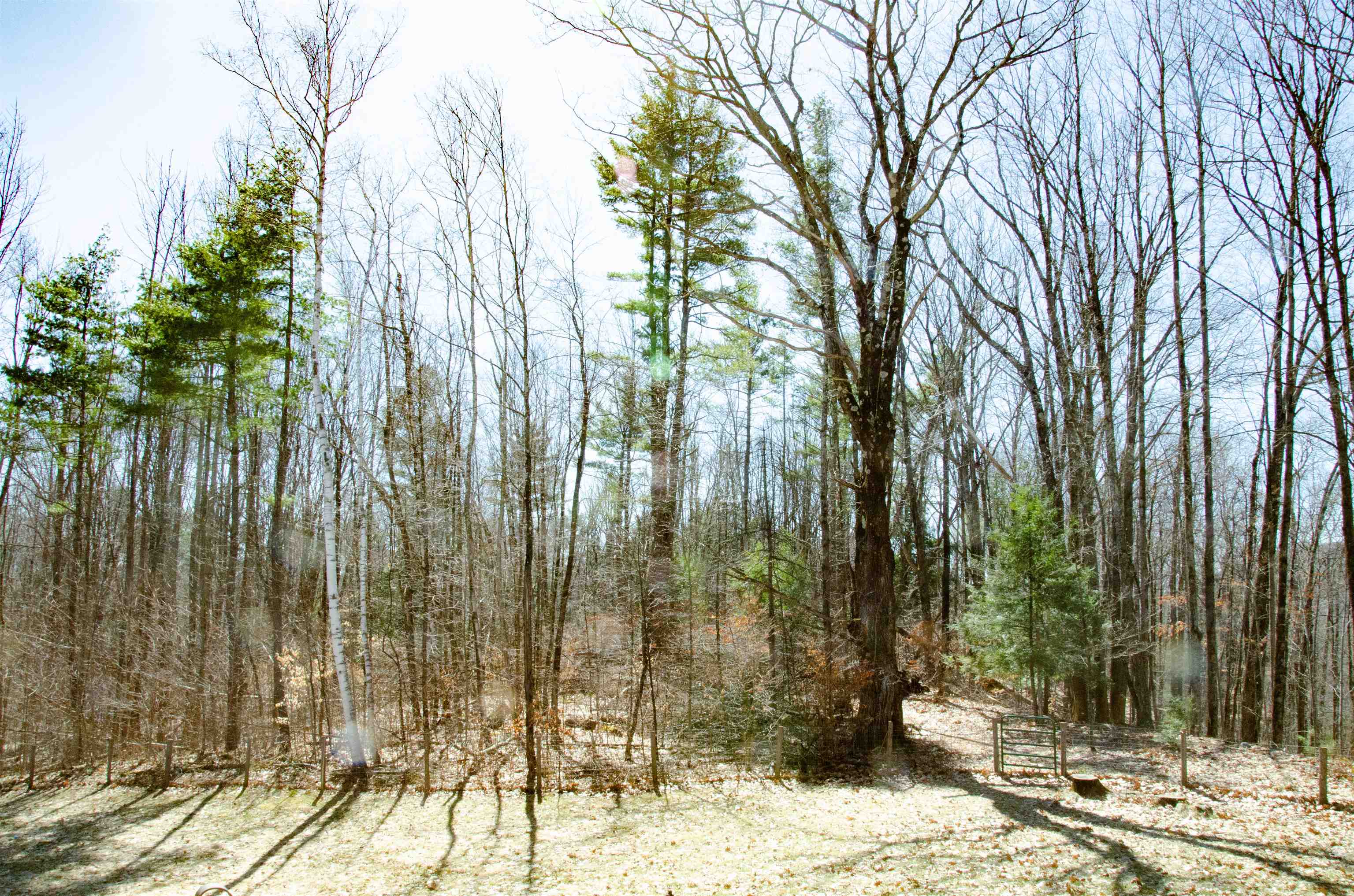2150 Boro Hill Road Monkton, VT 05443 - Photo 18 of 20 Gallery Image 18