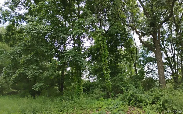 $800,000 | Middle V/l Middle Road, Highland, MI 48357