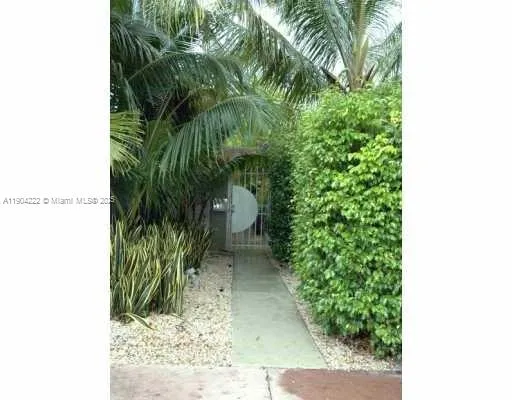 a close up of a plant in a garden