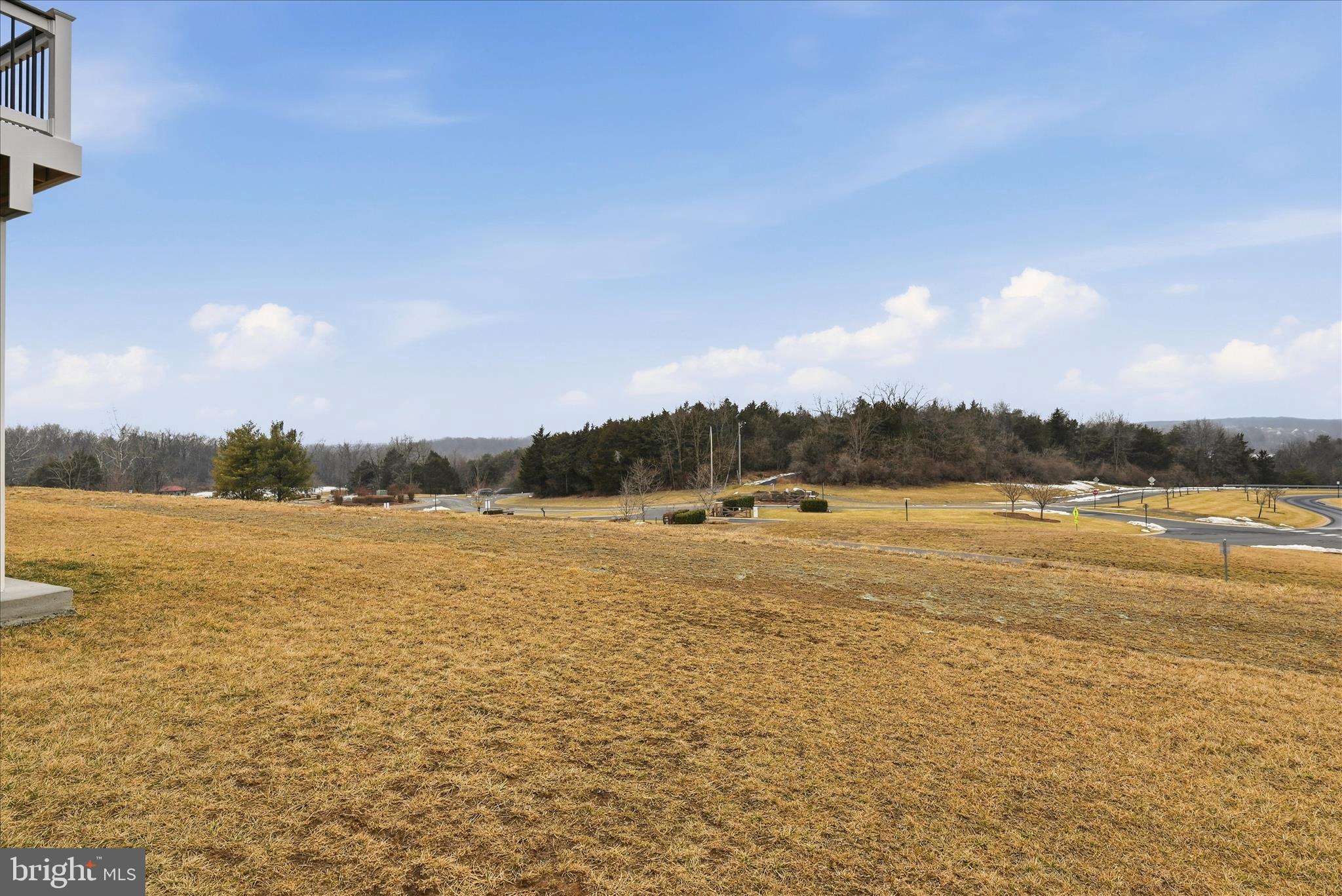 124 Checkerspot Way Lake White Post, VA 22663 - Photo 37 of 81 Backyard