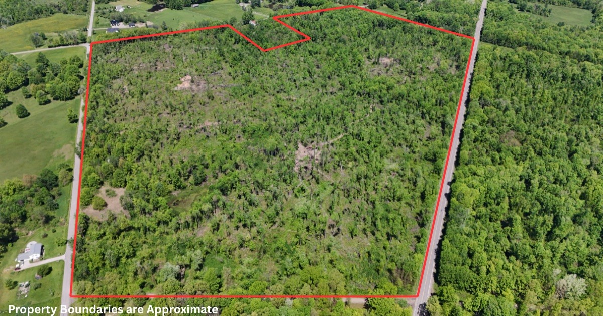 0 Griffey Road West Springfield, PA 16443 - Photo 1 of 11 a view of a lush green forest with a bench and trees