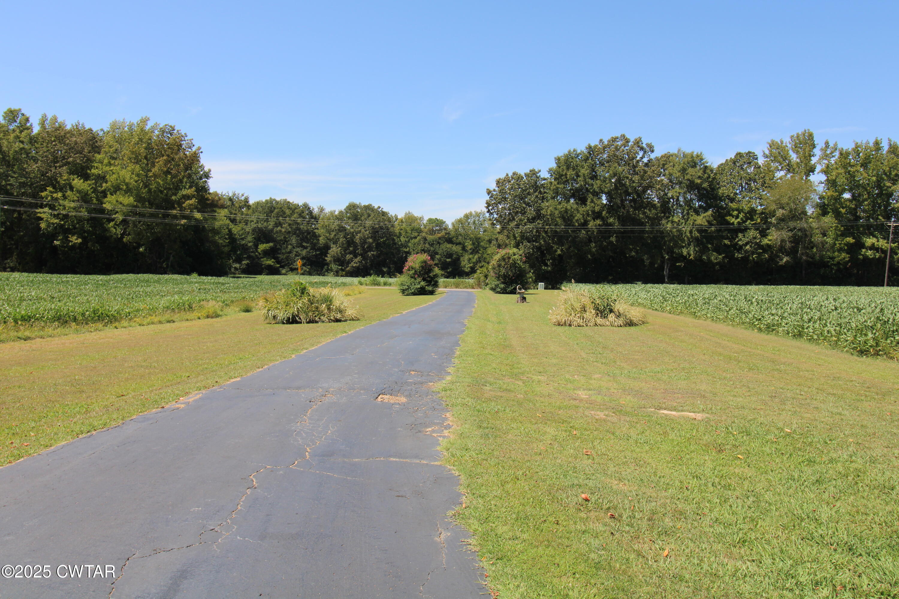 4810 Saltillo Road Saltillo, TN 38370 - Photo 20 of 25 IMG_2946