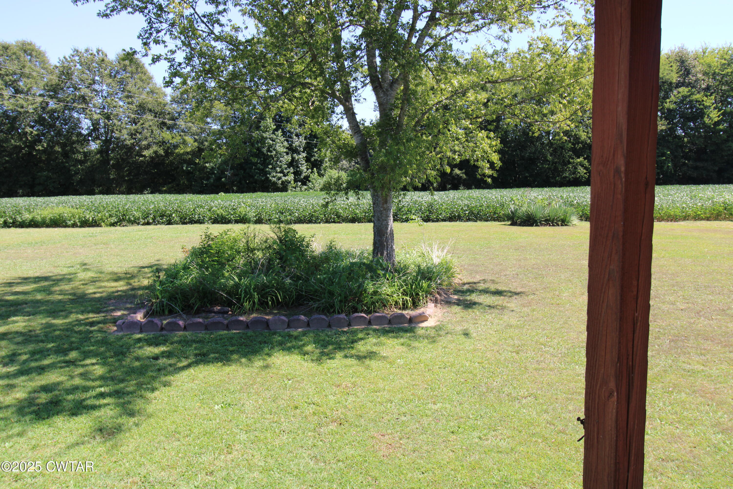 4810 Saltillo Road Saltillo, TN 38370 - Photo 21 of 25 Backyard - Copy