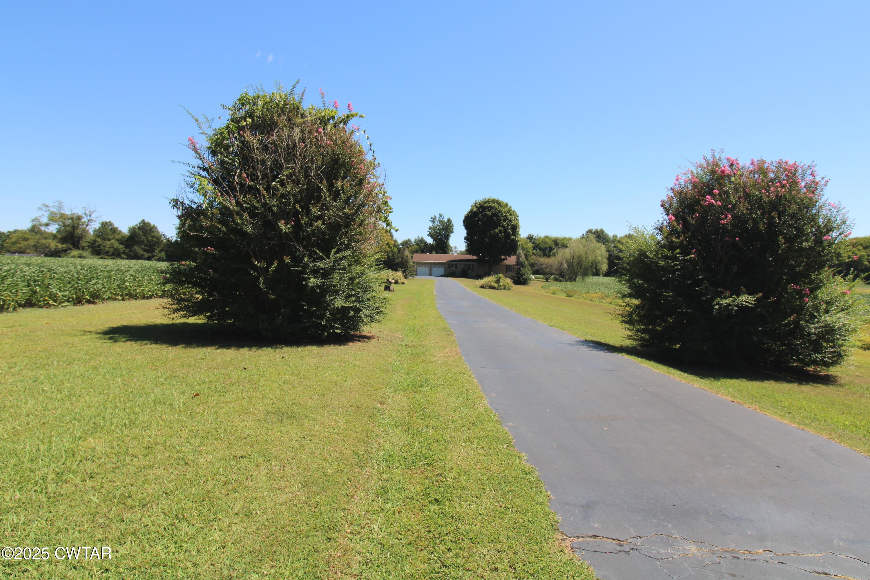 4810 Saltillo Road Saltillo, TN 38370 - Photo 3 of 25 IMG_2972