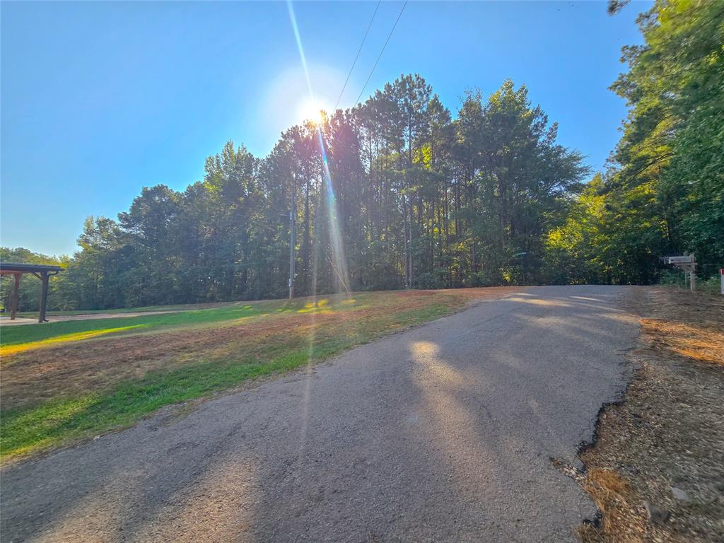 0 Rhea Road Homer, LA 71040 - Photo 7 of 9 Gallery Image 7
