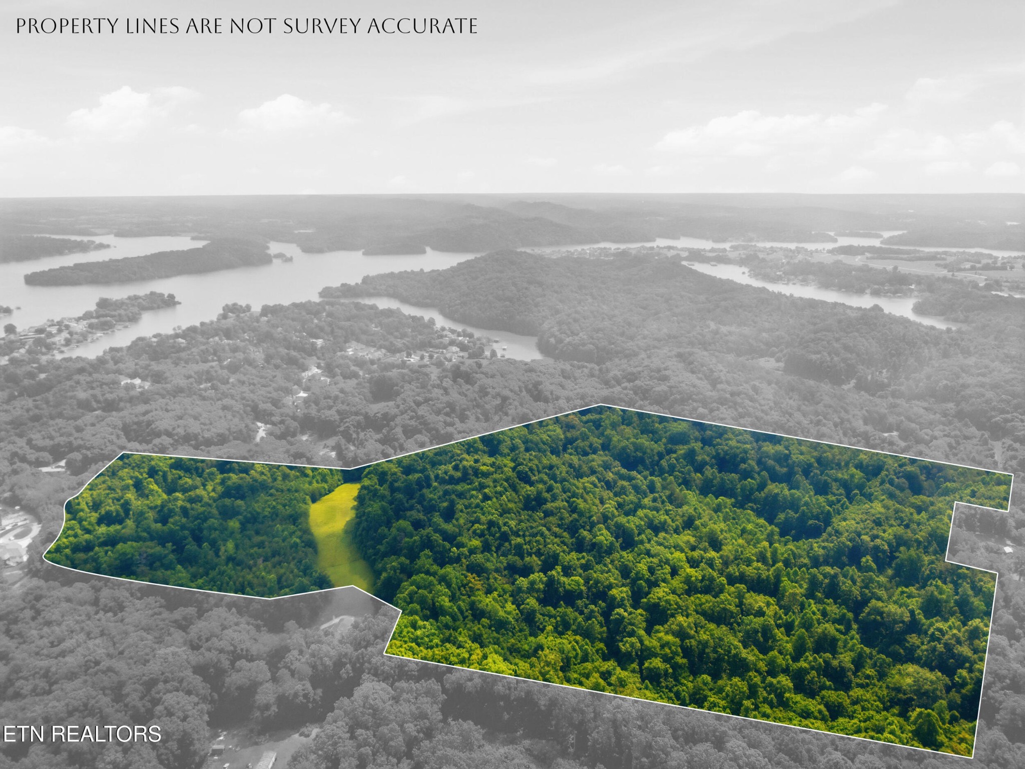 0 Mayo Road Loudon, TN 37774 - Photo 11 of 13