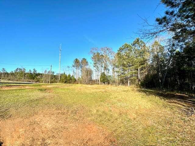 1 Dora Bush Hill Road Carlton, GA 30627 - Photo 1 of 1 Gallery Image 1