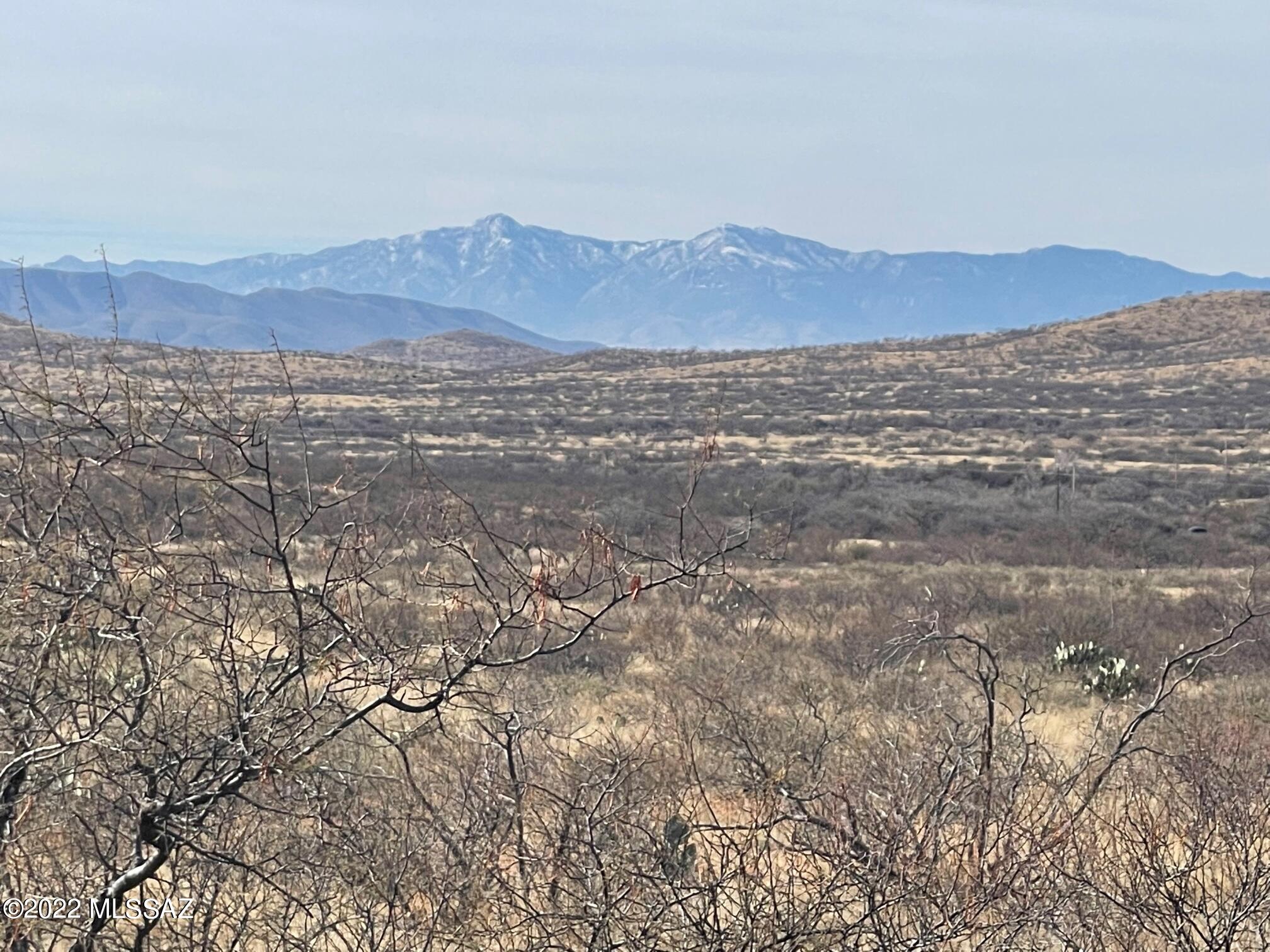 Lot 45 North Double U Ranch Road, Unit 45 Elfrida, AZ 85610 - Photo 1 of 4