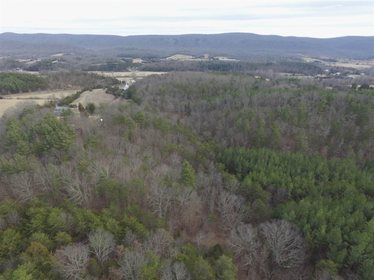Dry Run Road Fort Valley, VA 22652 - Photo 4 of 23 a view of city and mountain
