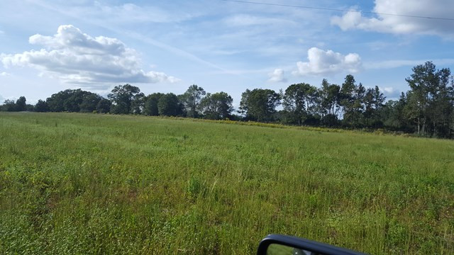 Xx Pleasant Grove Drive Southeast Ruth, MS 39662 - Photo 1 of 1 Main View