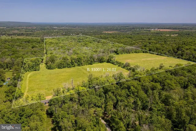 a view of an ocean from a yard