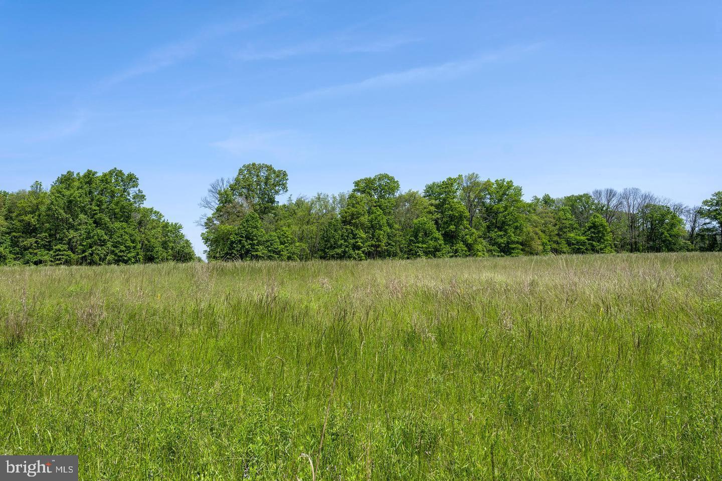 0 Cherry Hill Road Princeton, NJ 08540 - Photo 4 of 10 a view of lake with green field