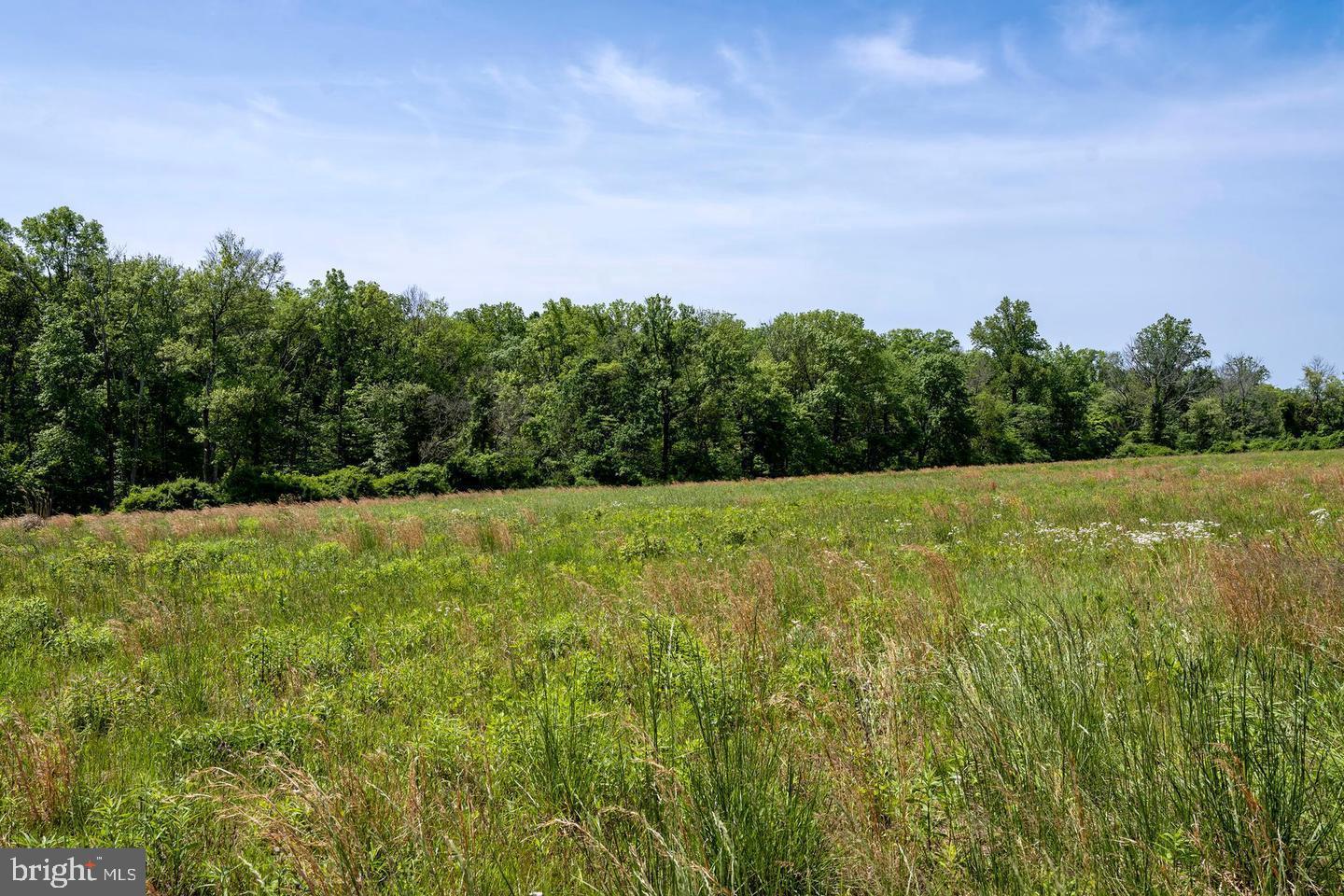 0 Cherry Hill Road Princeton, NJ 08540 - Photo 5 of 10 a view of a green field with wooden fence