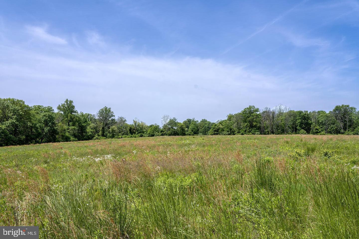 0 Cherry Hill Road Princeton, NJ 08540 - Photo 7 of 10 a view of outdoor space and yard