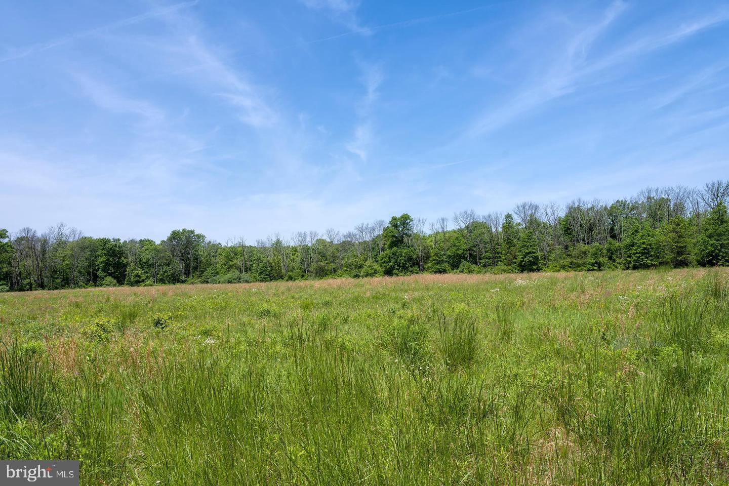 0 Cherry Hill Road Princeton, NJ 08540 - Photo 8 of 10 a view of field with trees in the background