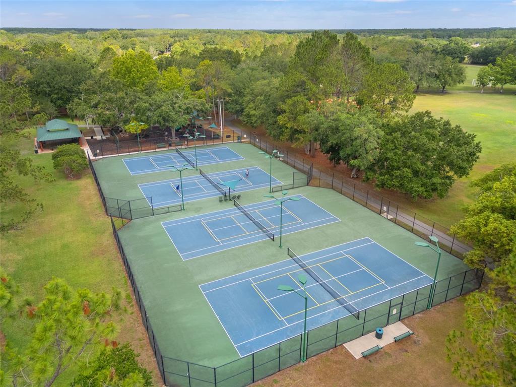 17804 Ridgeway Court Tampa, FL 33647 - Photo 52 of 59 Gallery Image 52