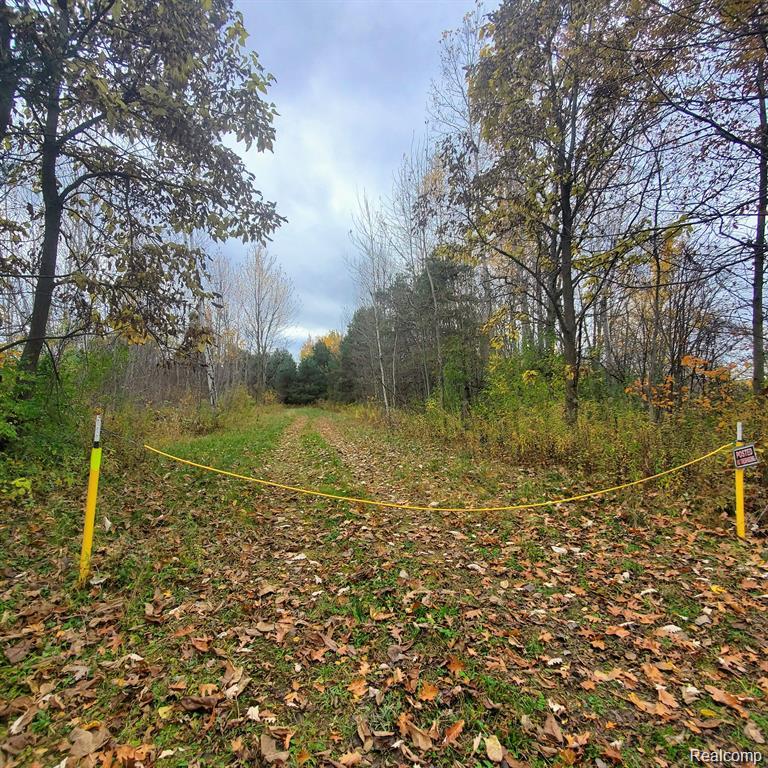 4441 West Willard Road Birch Run, MI 48415 - Photo 15 of 15 GetMedia (30).jpeg