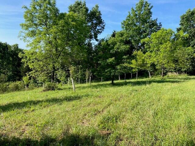0 Mann Road Mount Olivet, KY 41064 - Photo 21 of 46