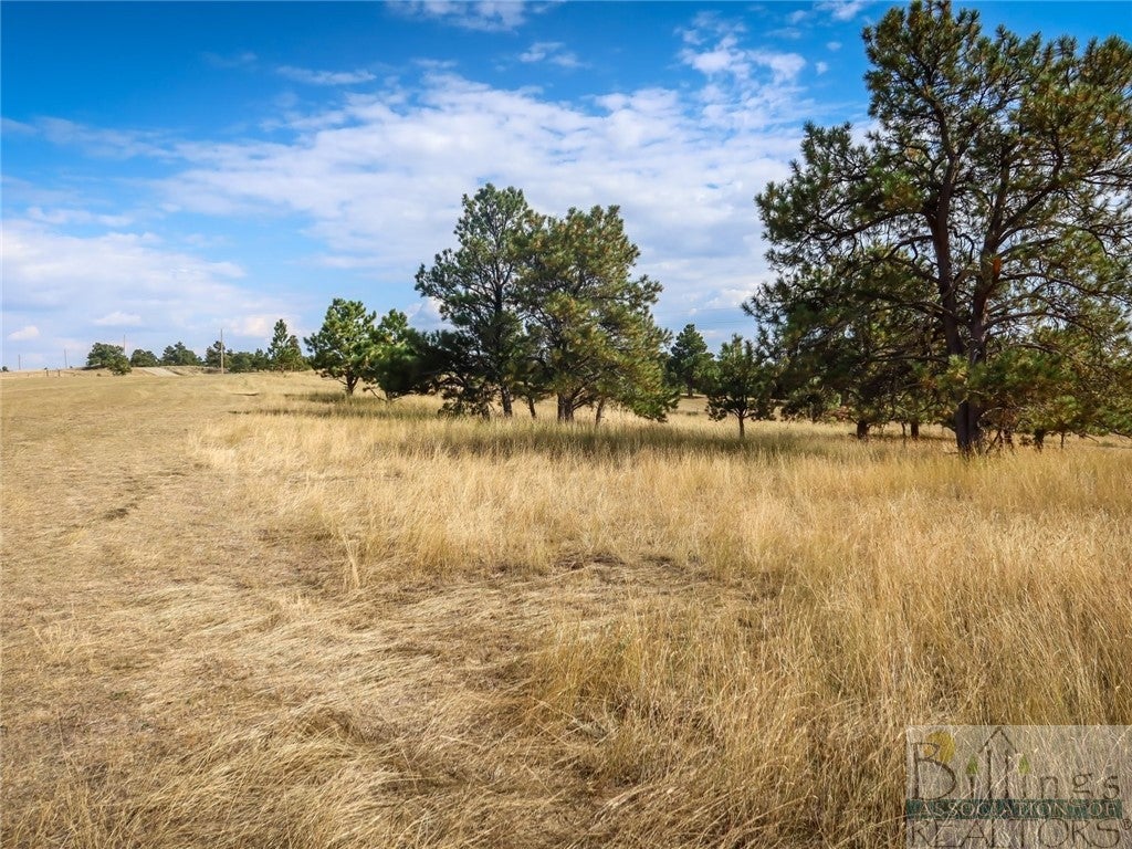 Tbd North Delphia Road Roundup, MT 59072 - Photo 1 of 1 Gallery Image 1