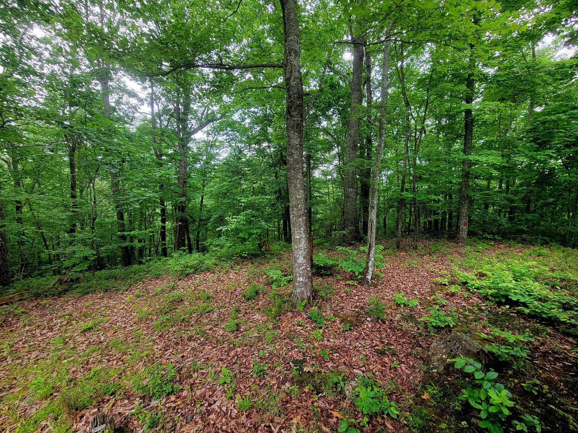 279 Mike Mcwhorter Road Tyner, KY 40486 - Photo 41 of 45 448264229_1019950063132335_8413903093630