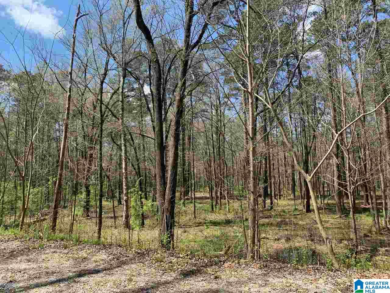 5925 Cahaba Valley Road, Unit 1 Birmingham, AL 35242 - Photo 4 of 21