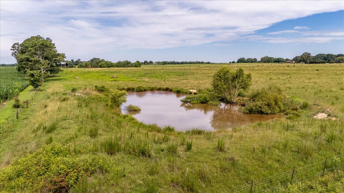 0 Marks Road Leoma, TN 38468 - Photo 2 of 25