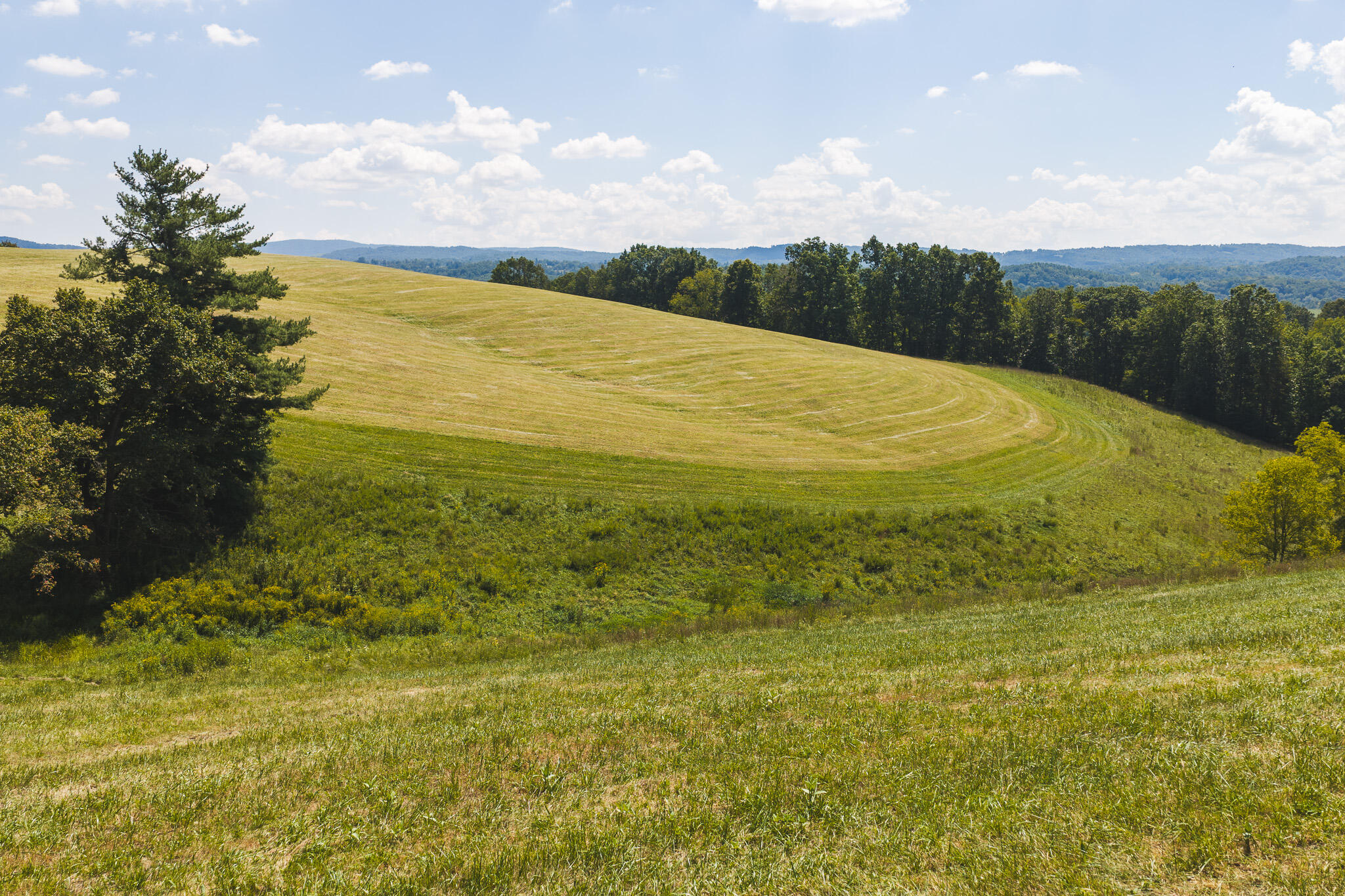 5902 Chestnut Ridge Road Riner, VA 24149 - Photo 16 of 50 DJI_20260903134054_0958_D
