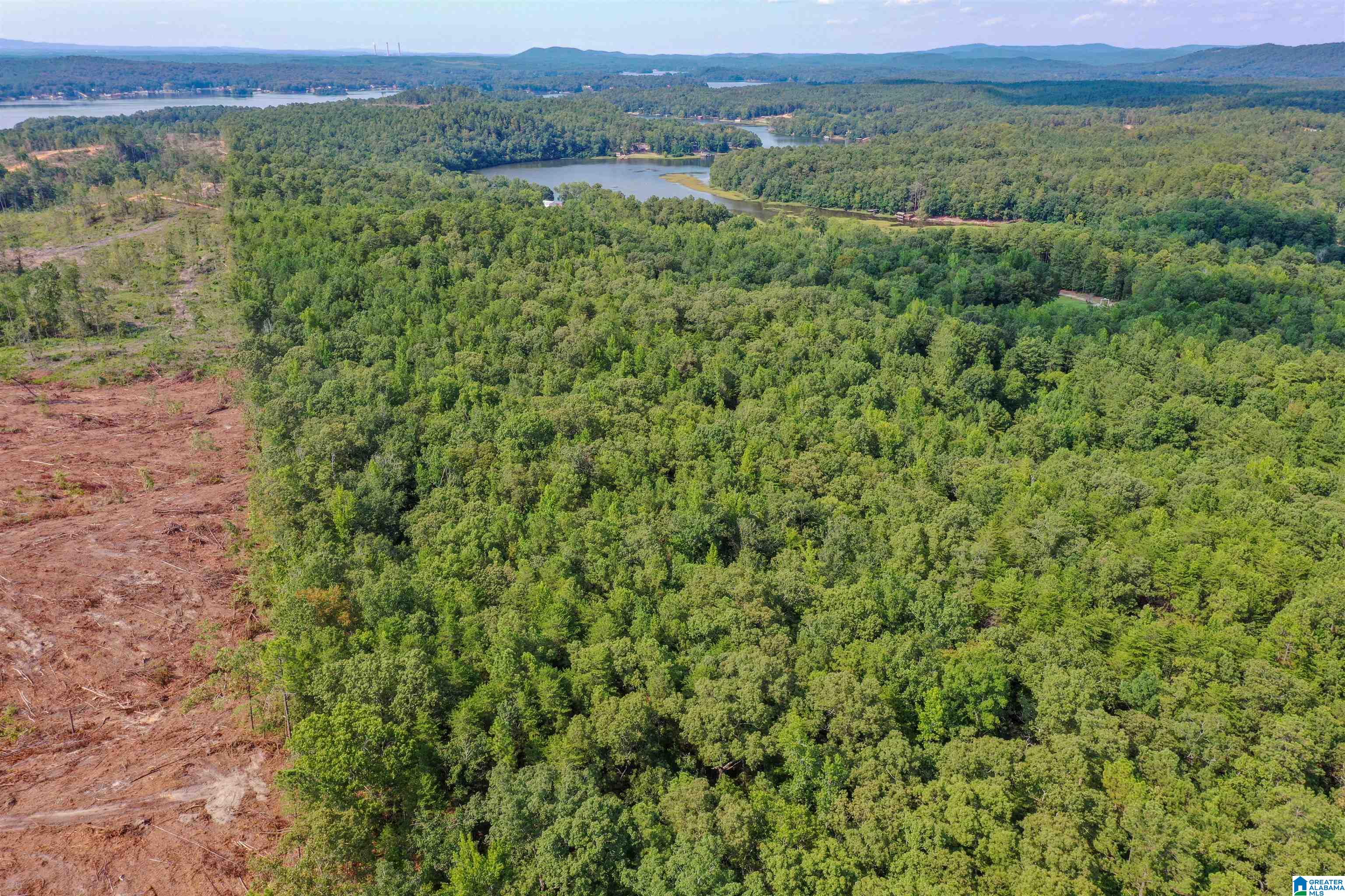 Oak Road Sylacauga, AL 35151 - Photo 3 of 9