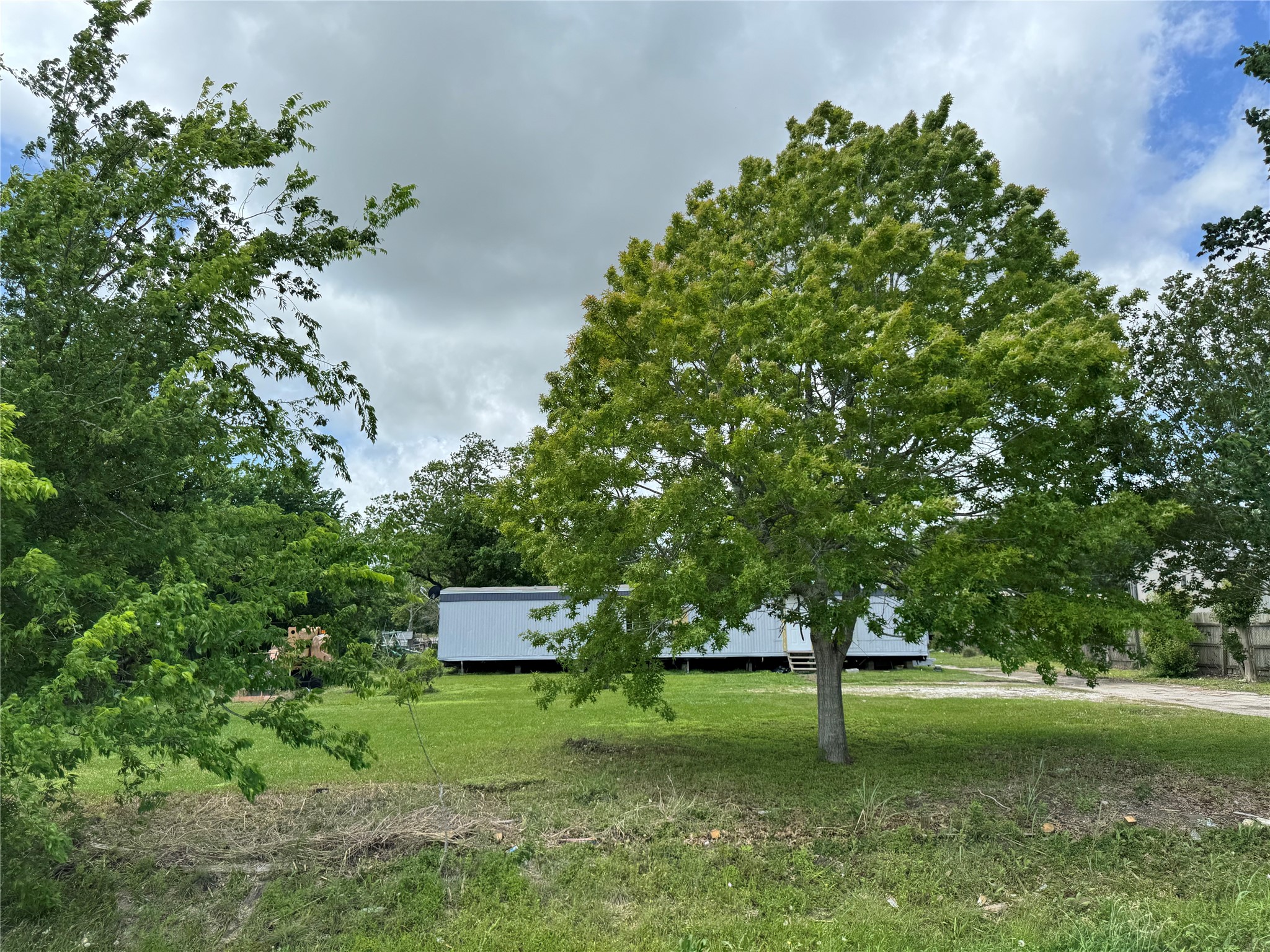 6226 County Road 48 Rosharon, TX 77583 - Photo 10 of 11 a garden view