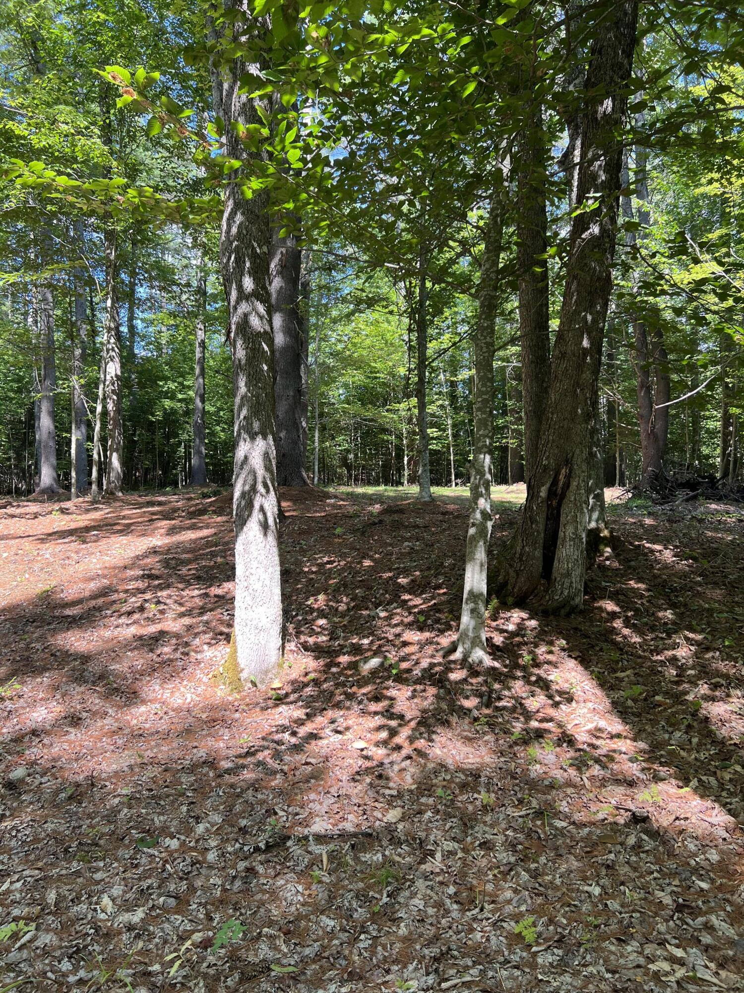 21 Pine Grove Road St. Albans, ME 04971 - Photo 6 of 43 IMG_1253