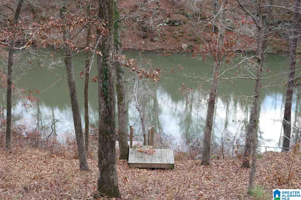 9018 Manley Vines Camp Road Bessemer, AL 35023 - Photo 30 of 46