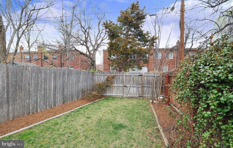 37 West Reed Avenue Alexandria, VA 22305 - Photo 15 of 18 Back yard