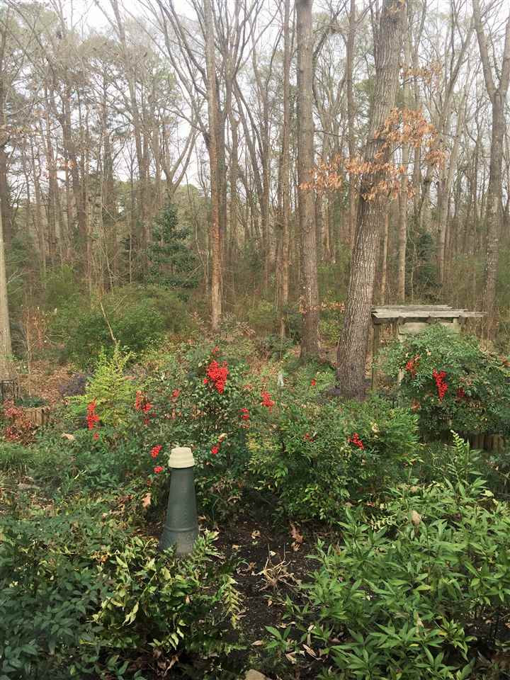 48 Summit Ridge Drive Brandon, MS 39042 - Photo 28 of 29 Photo 28