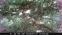 14708 Marietta Run Road Amesville, OH 45711 - Photo 2 of 50