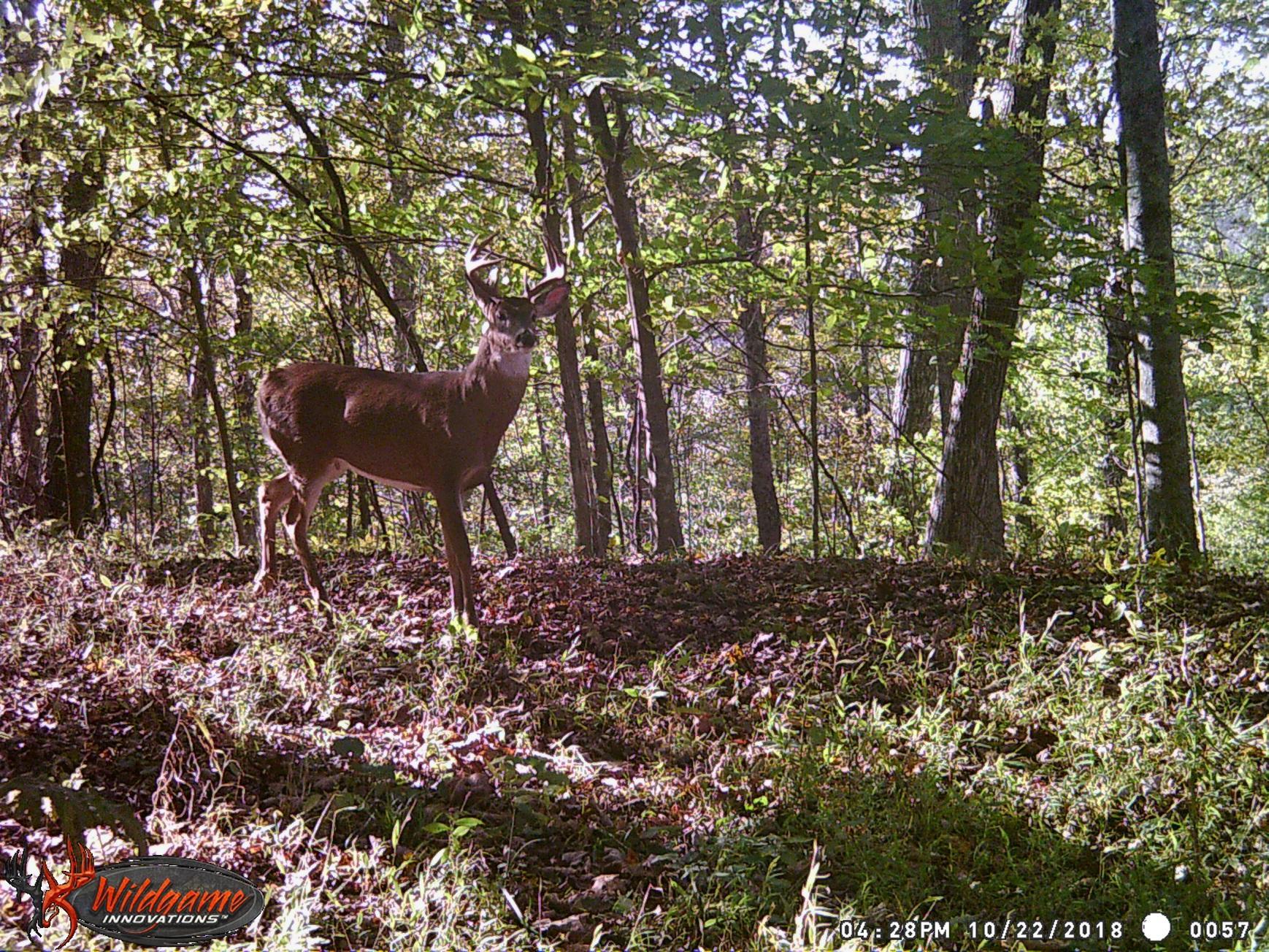 14708 Marietta Run Road Amesville, OH 45711 - Photo 41 of 50