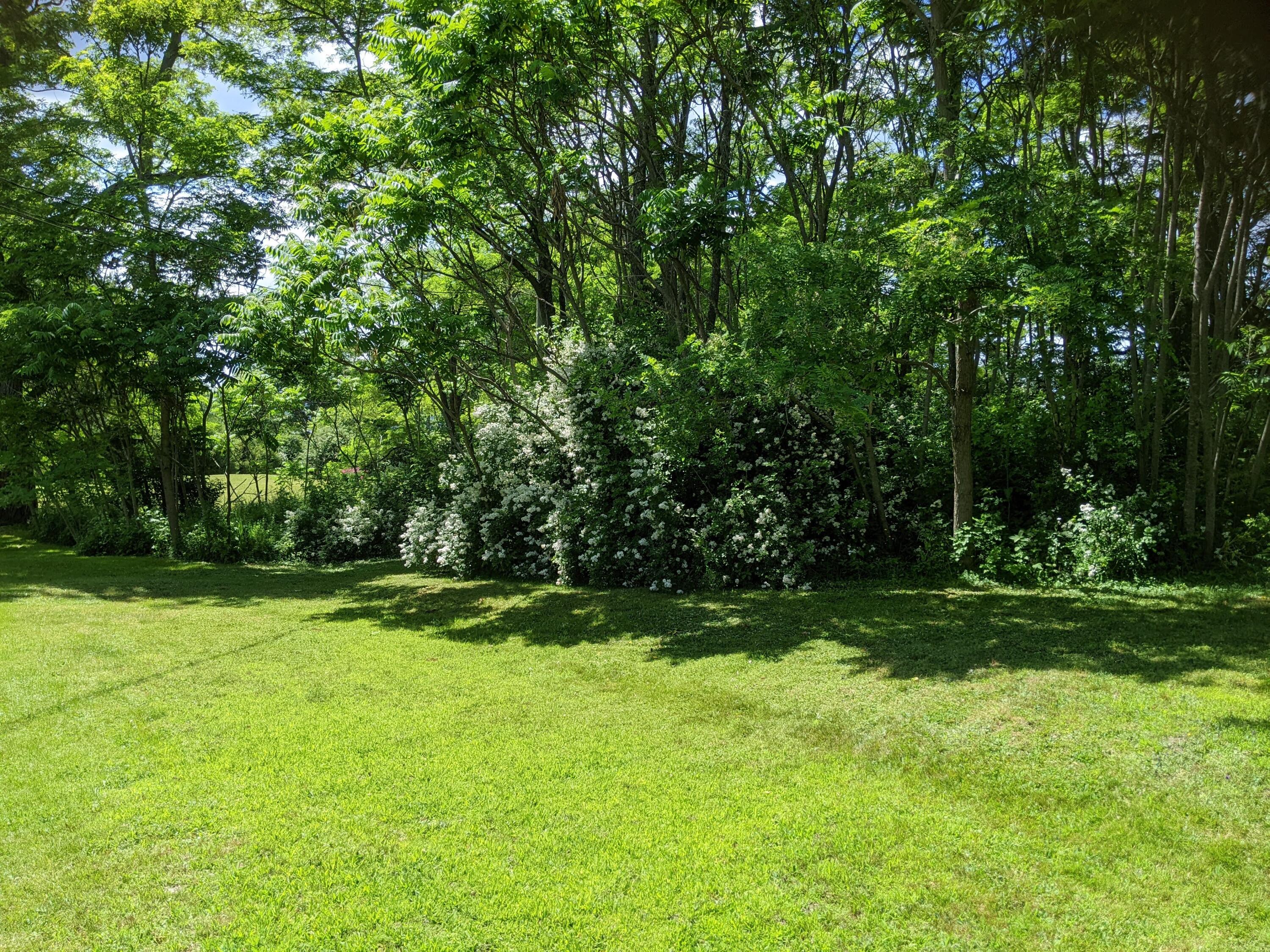 505 River Road Bucksport, ME 04416 - Photo 13 of 44 13