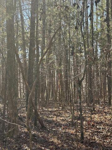 5 Northwest Lower River Road Charleston, TN 37310 - Photo 2 of 5 Gallery Image 2
