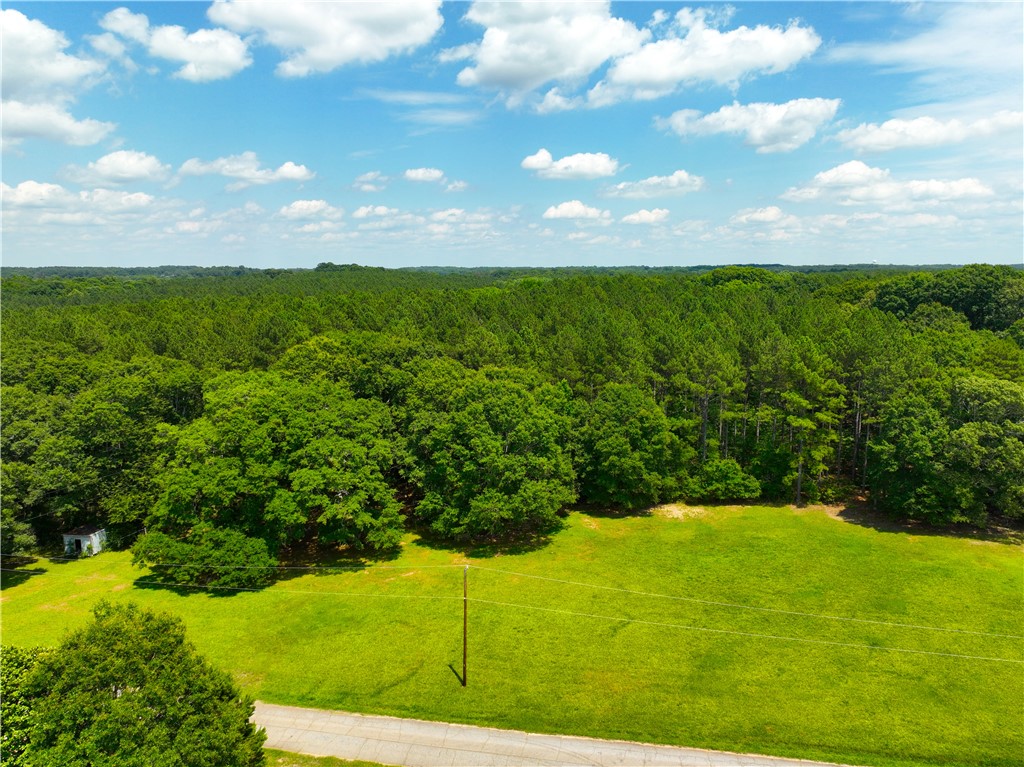 1198 Mize Road Belton, SC 29627 - Photo 17 of 50