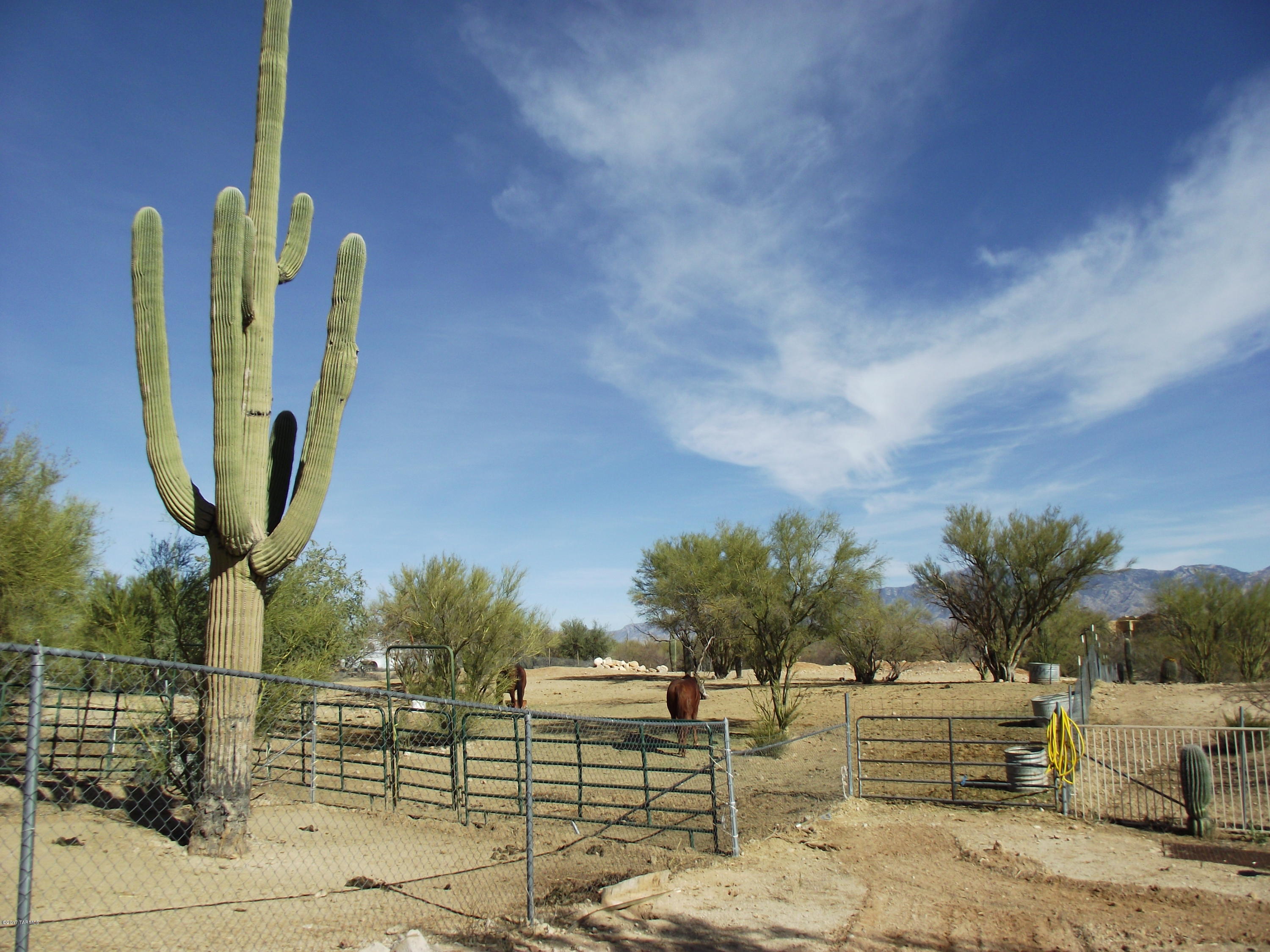 11598 North Shannon Road Tucson, AZ 85742 - Photo 3 of 3