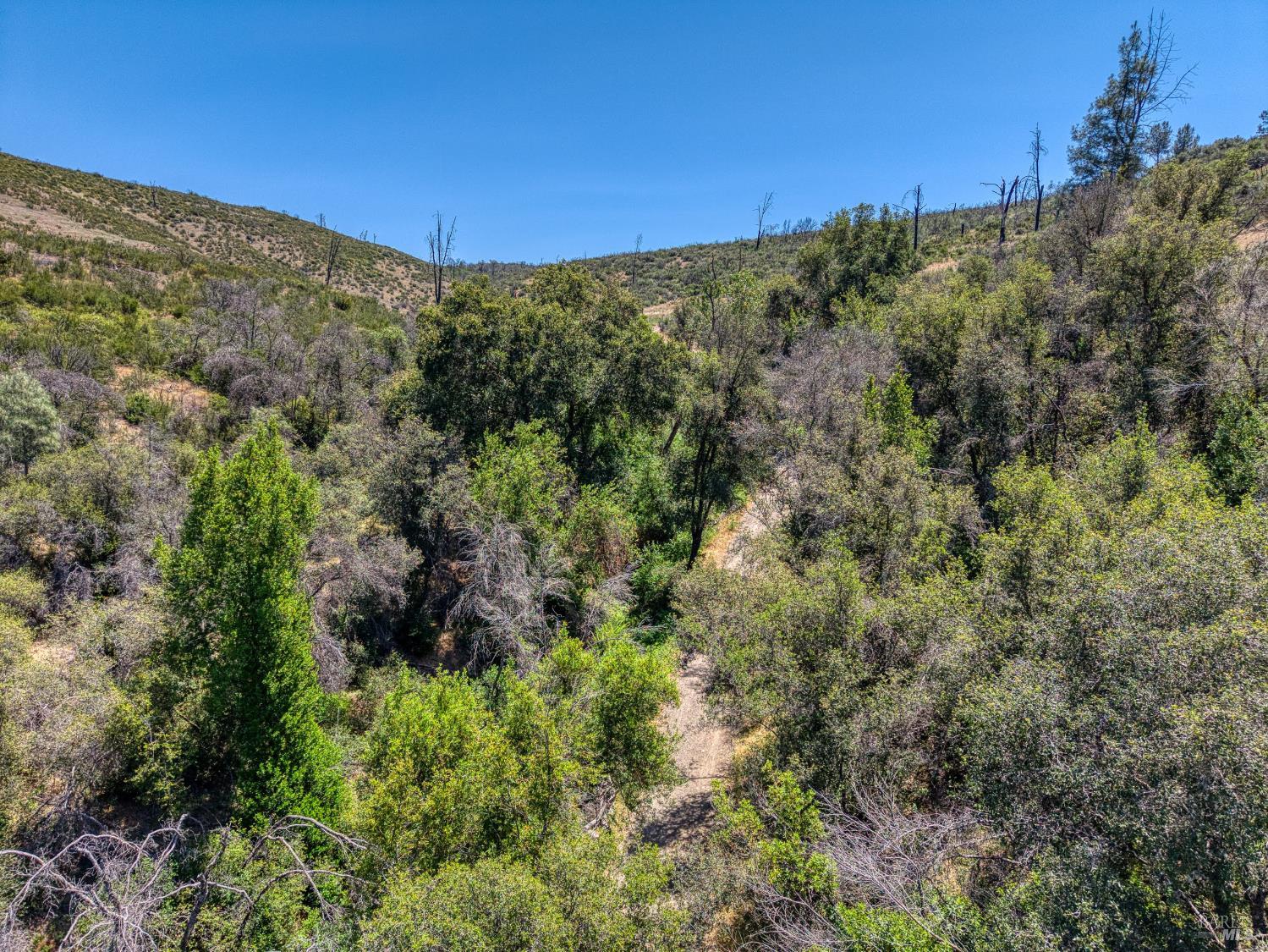 2065 Stagecoach Canyon Road Pope Valley, CA 94567 - Photo 30 of 40