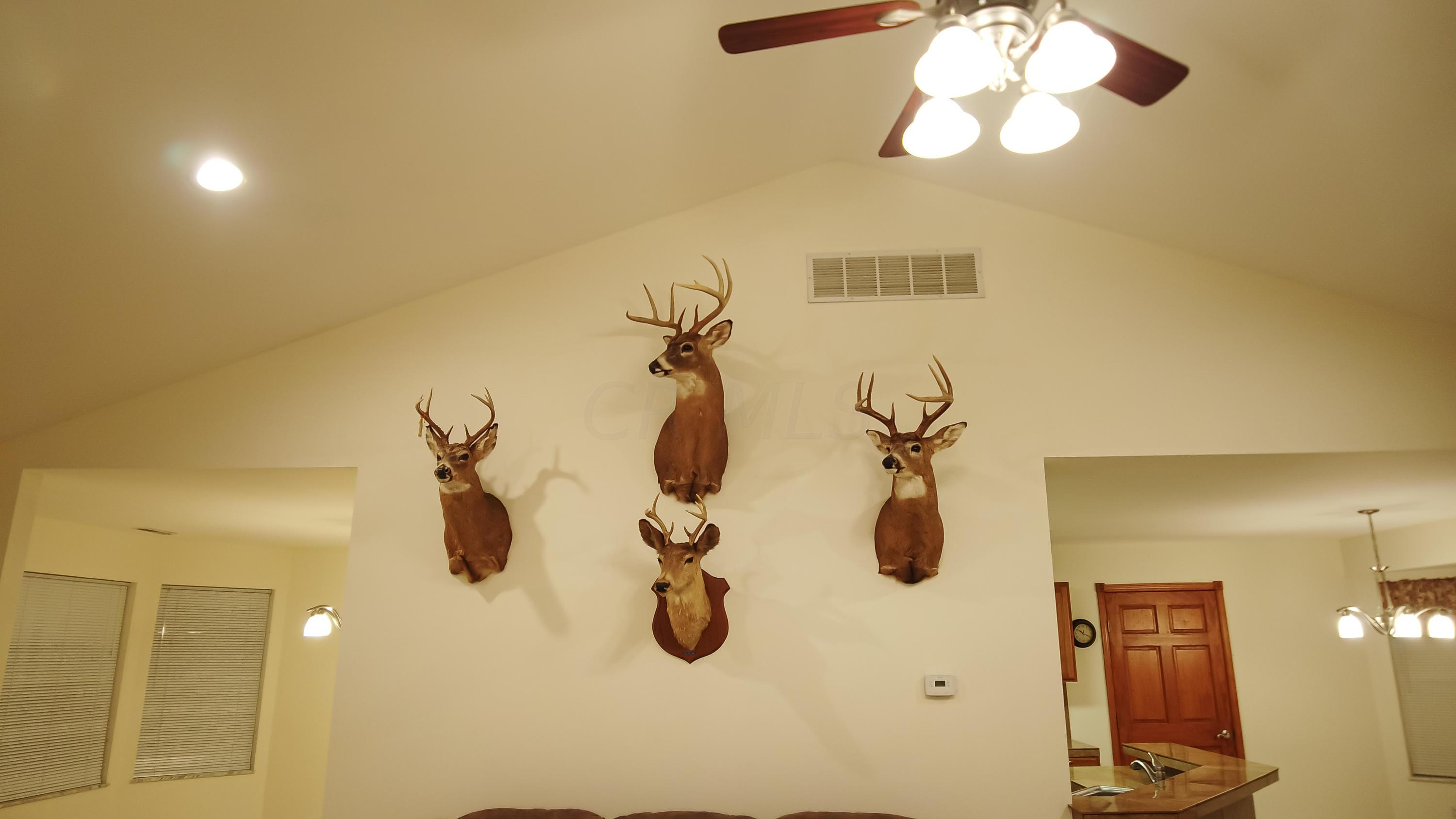 5663 Blacks Road Southwest Pataskala, OH 43062 - Photo 63 of 71