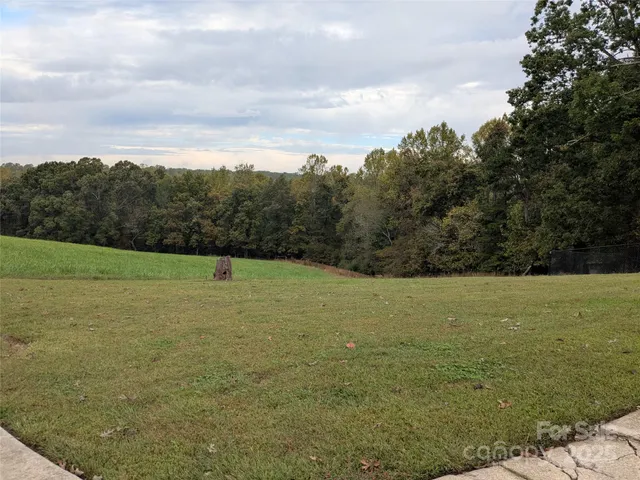 a view of a field with an trees