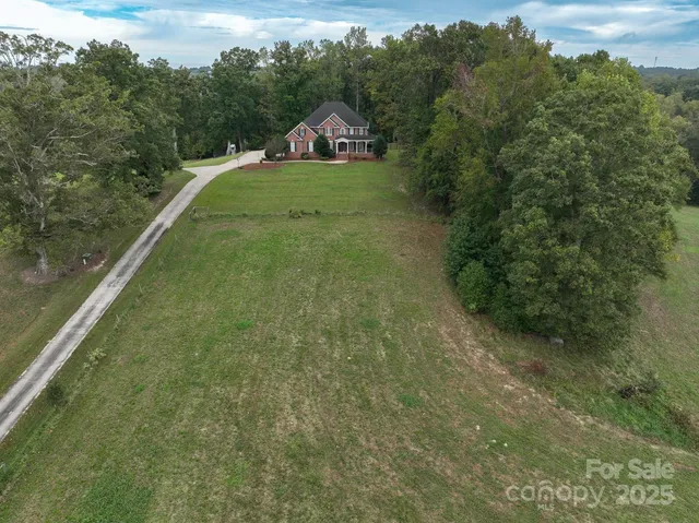 a view of a field with a tree in the background