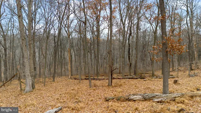 a view of a backyard of the house