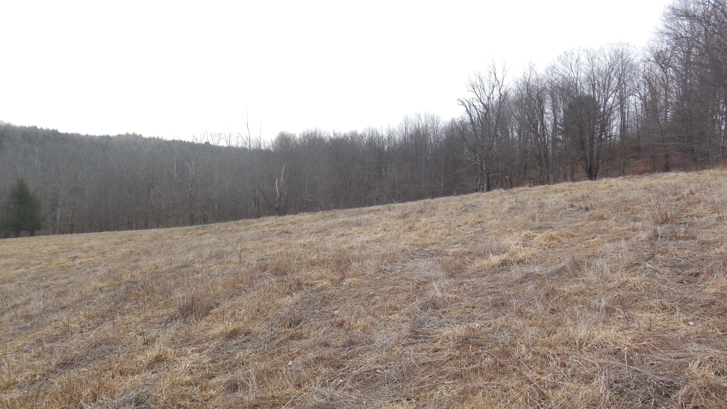 352 Hellmers Hill Road Equinunk, PA 18417 - Photo 30 of 34