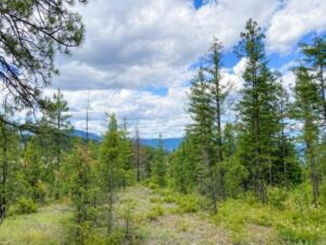 4-xx R 4-xx R Vista View Lane Inchelium, WA 99138 - Photo 5 of 12